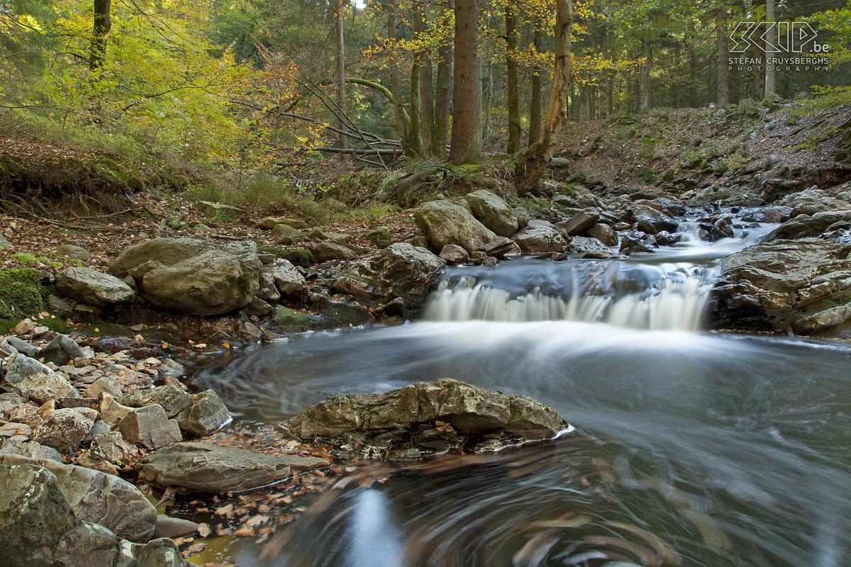 Herfst in de Hoge Venen Herfstfoto’s van het natuurgebied Hoge Venen in de buurt van Ternell langs de Helle en Getzbach riviertjes. Stefan Cruysberghs